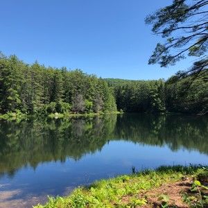 Meet your Posher, Marilyn